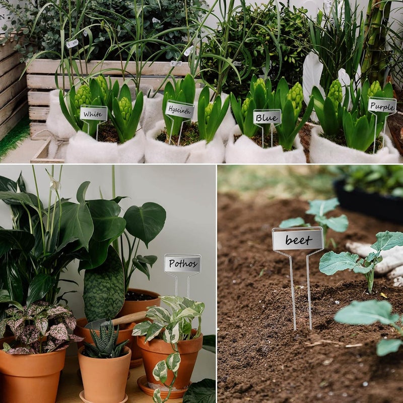 GHAMYEE 30pcs Plant Labels Plant Markers for Outdoor Plants 6inch Plant Labels for Seedlings Outdoor Garden Waterproof Plant Tags and Labels for Flower Vegetable Herbs Greenhouse (6 in, Silver) - Image 4